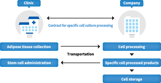 特定細胞培養加工受託事業