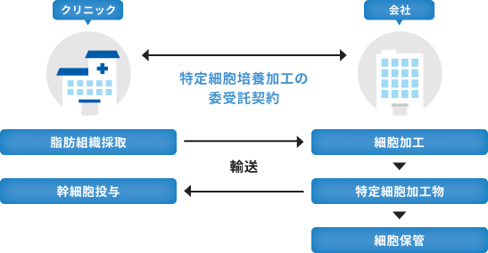特定細胞培養加工受託事業